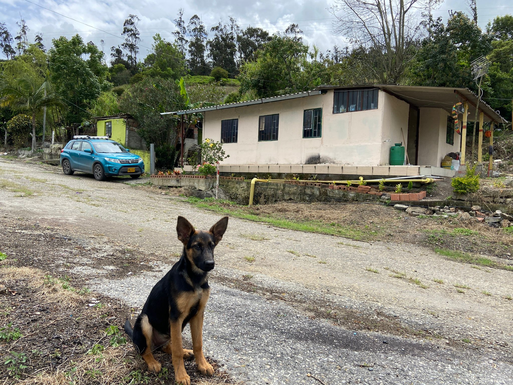 Finca 5.000 m2 con Casa 2B/1B y Galpón 3.500 aves - Vda Caraza / Chipaque / Cundinamarca / Colombia +57 3134283255 COL / +1 8623914933 USA