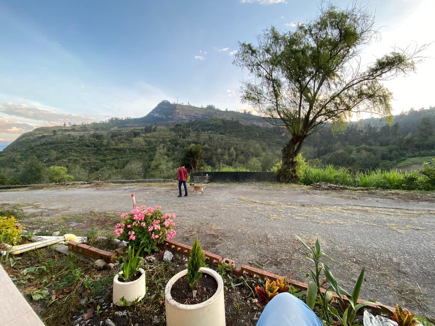 Finca 5.000 m2 con Casa 2B/1B y Galpón 3.500 aves - Vda Caraza / Chipaque / Cundinamarca / Colombia +57 3134283255 COL / +1 8623914933 USA