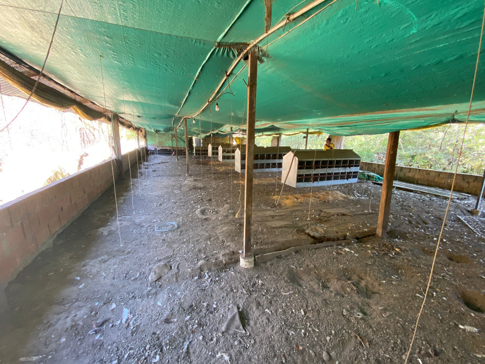 Finca 5.000 m2 con Casa 2B/1B y Galpón 3.500 aves - Vda Caraza / Chipaque / Cundinamarca / Colombia +57 3134283255 COL / +1 8623914933 USA