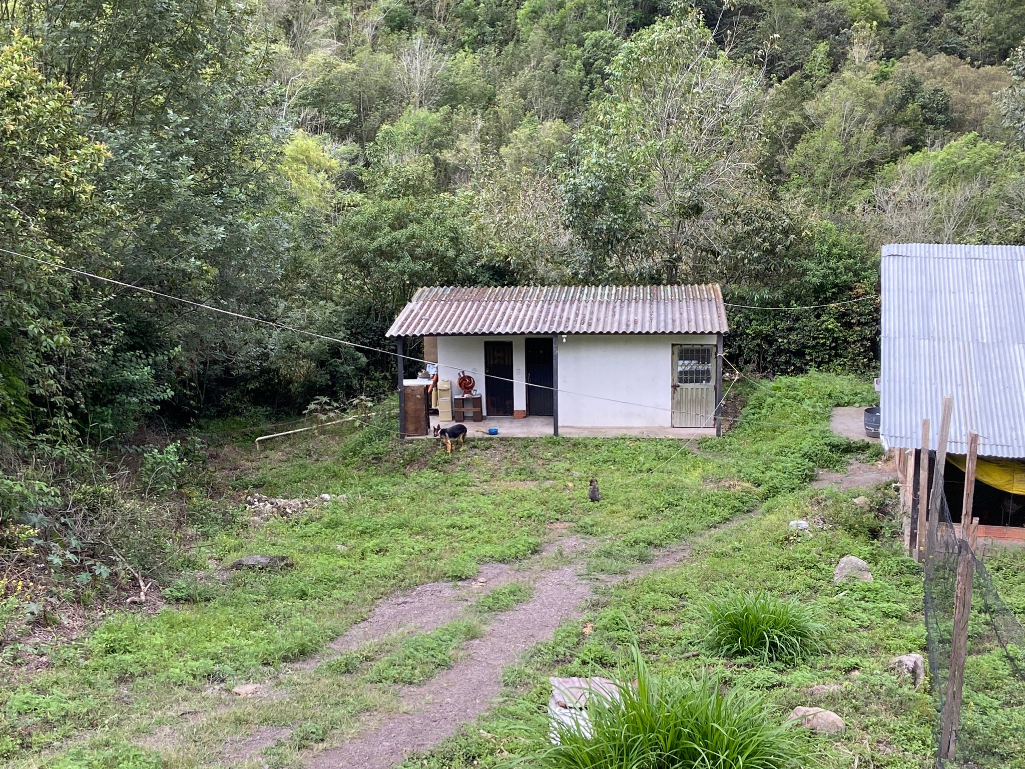 Finca 5.000 m2 con Casa 2B/1B y Galpón 3.500 aves - Vda Caraza / Chipaque / Cundinamarca / Colombia +57 3134283255 COL / +1 8623914933 USA