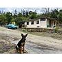 Finca 5.000 m2 con Casa 2B/1B y Galpón 3.500 aves - Vda Caraza / Chipaque / Cundinamarca / Colombia +57 3134283255 COL / +1 8623914933 USA