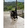 Finca 5.000 m2 con Casa 2B/1B y Galpón 3.500 aves - Vda Caraza / Chipaque / Cundinamarca / Colombia +57 3134283255 COL / +1 8623914933 USA