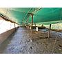 Finca 5.000 m2 con Casa 2B/1B y Galpón 3.500 aves - Vda Caraza / Chipaque / Cundinamarca / Colombia +57 3134283255 COL / +1 8623914933 USA