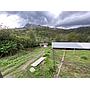 Finca 5.000 m2 con Casa 2B/1B y Galpón 3.500 aves - Vda Caraza / Chipaque / Cundinamarca / Colombia +57 3134283255 COL / +1 8623914933 USA