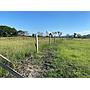Lote No 15 - 624 Mt2 - San Luis / Tolima / Colombia +57 3132361829 COL / +1 8623914933 (USA)
